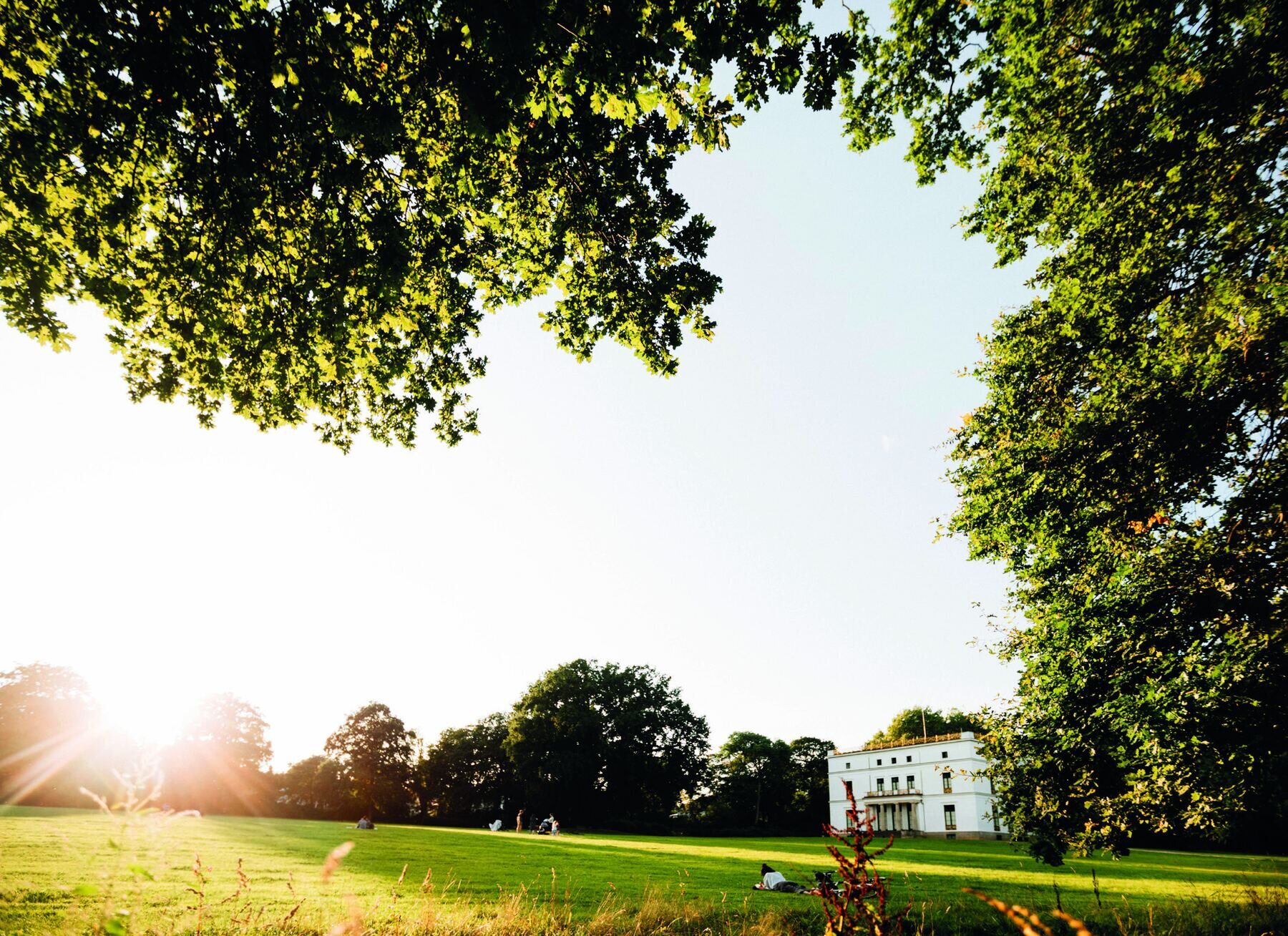 Weite Parkwiese mit altem Baumbestand im Jenischpark, im Hintergrund das Jenisch-Haus